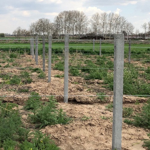 اجرای پایه فنس